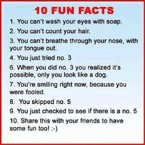 fun facts