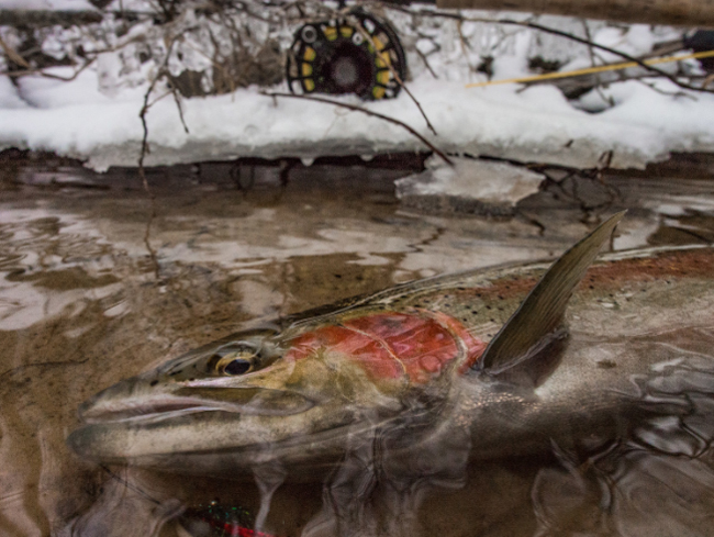 The Dead of Winter and Fishing Tactics - Northern Michigan, Guide Service