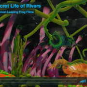 secret life rivers