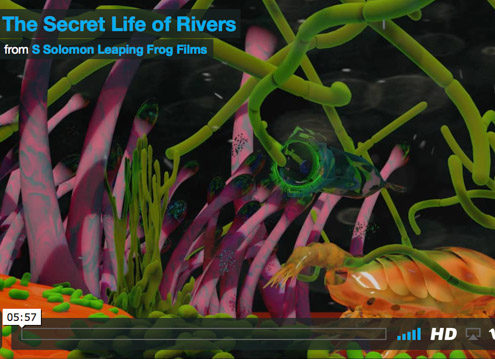 secret life rivers