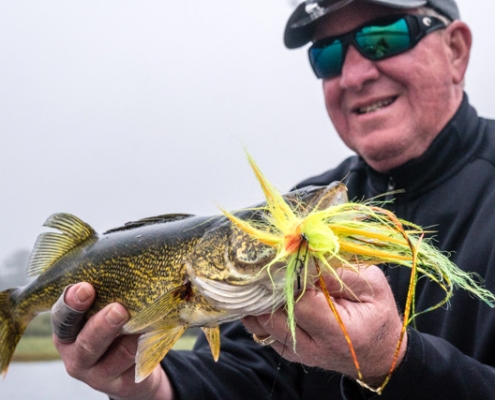 Walleye on the Fly