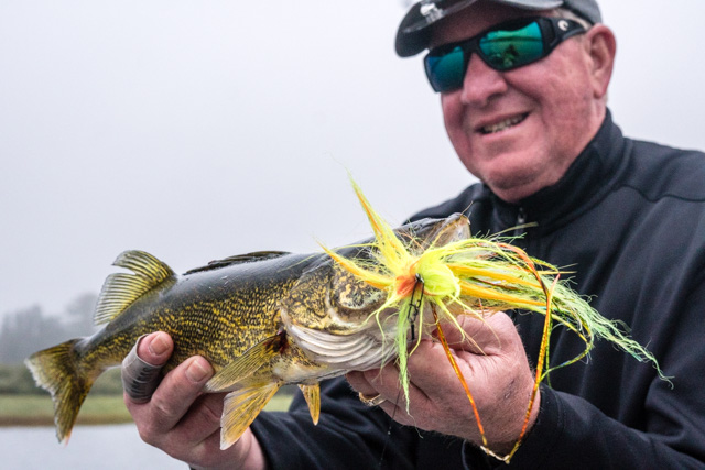 Pic of the Day - Walleye on the Fly - Northern Michigan | Guide Service ...