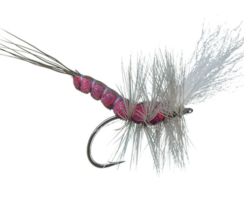 McCoys Boondoggle Spinner