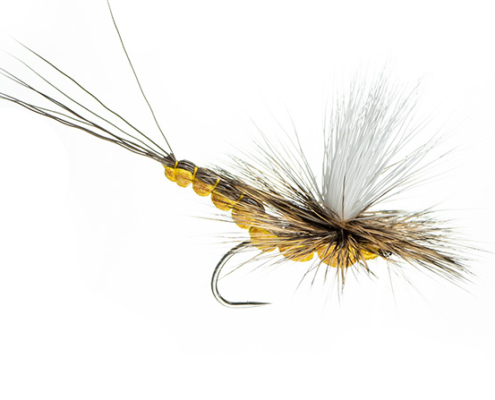 Dry Flies for Trout