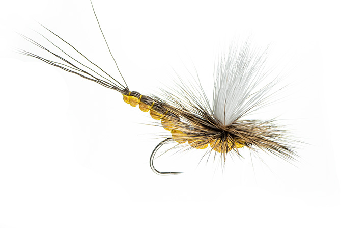 All Day Dun - May Fly Patterns - Northern Michigan Trout Fishing
