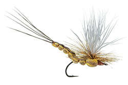 Dry Flies for Trout