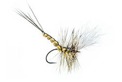 Dry Flies for Trout