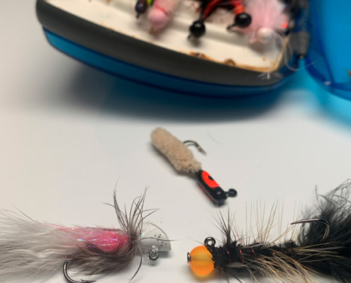 fly minnows and jigs