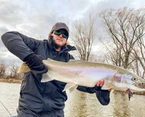 20 pound steelhead