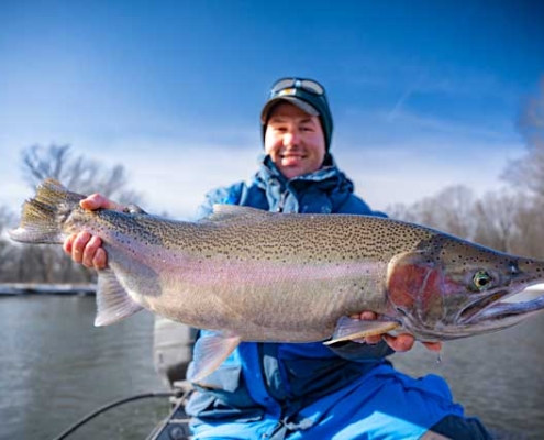 Spring Steelhead