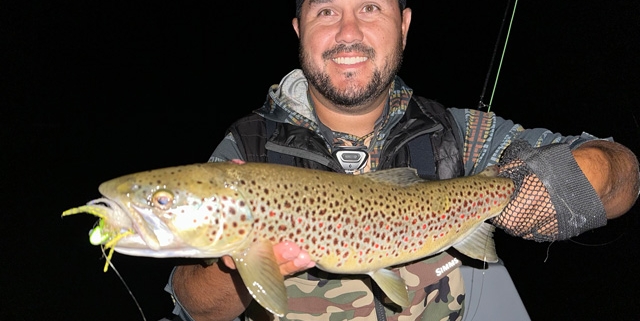 Upper Manistee Trout Report