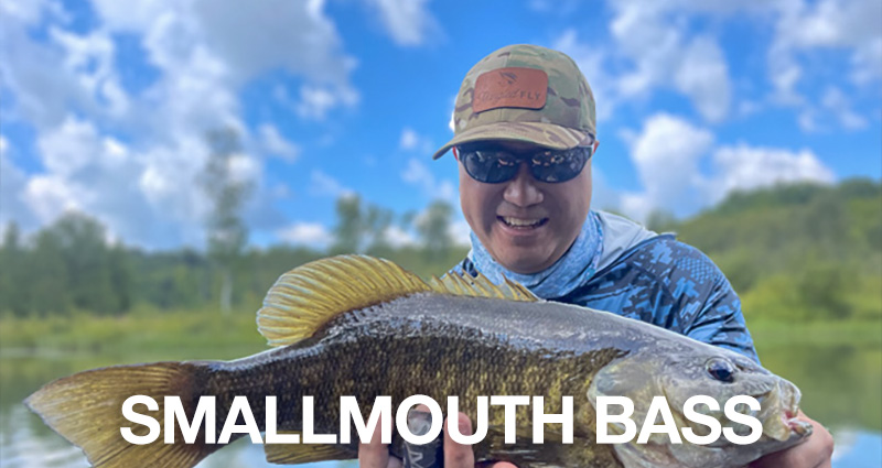 Northern Michigan Smallmouth Bass Fishing Guide