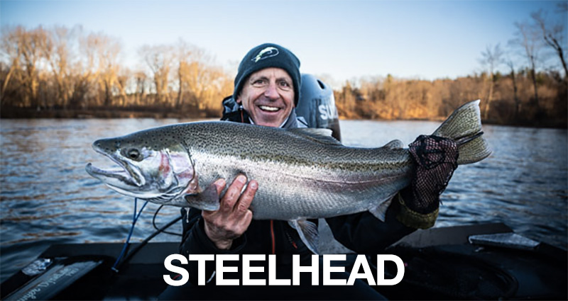 Northern Michigan Steelhead Fishing Guide