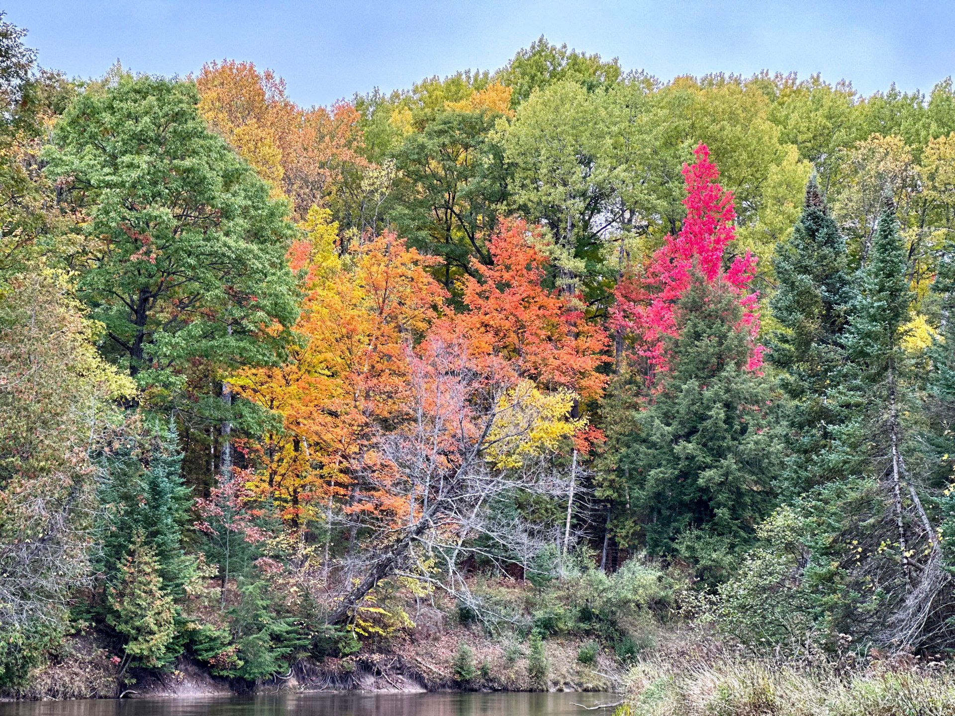 Upper Manistee River in fall colors