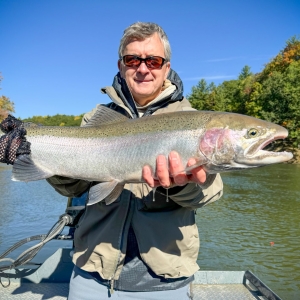 Manistee River Steelhead Report