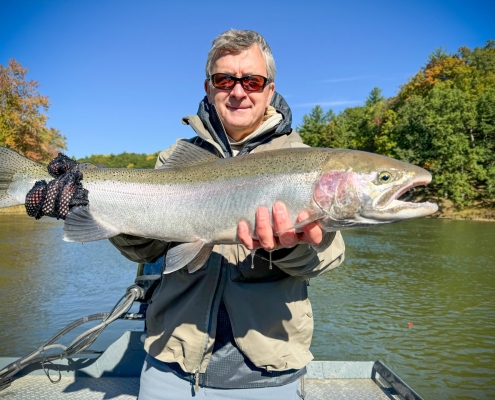 Manistee River Steelhead Report