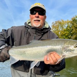 Manistee River Steelhead Report