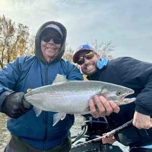 Manistee River Steelhead Report