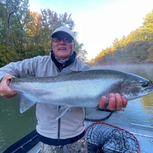 Manistee River Steelhead Report