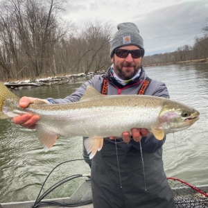 Manistee River Steelhead Report