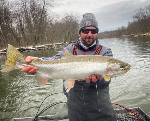 Manistee River Steelhead Report