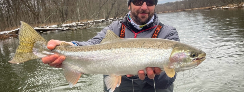 Manistee River Steelhead Report