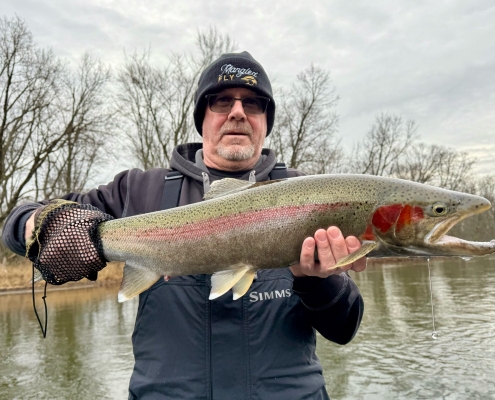 Manistee River Steelhead Report