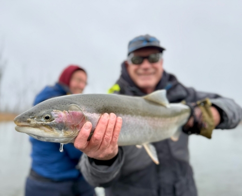 Manistee River Steelhead Report