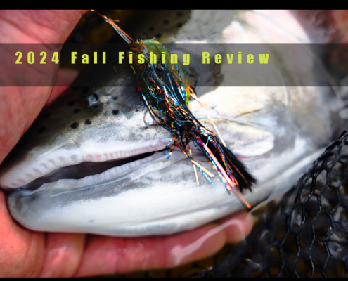 2024 Fall Fishing Review