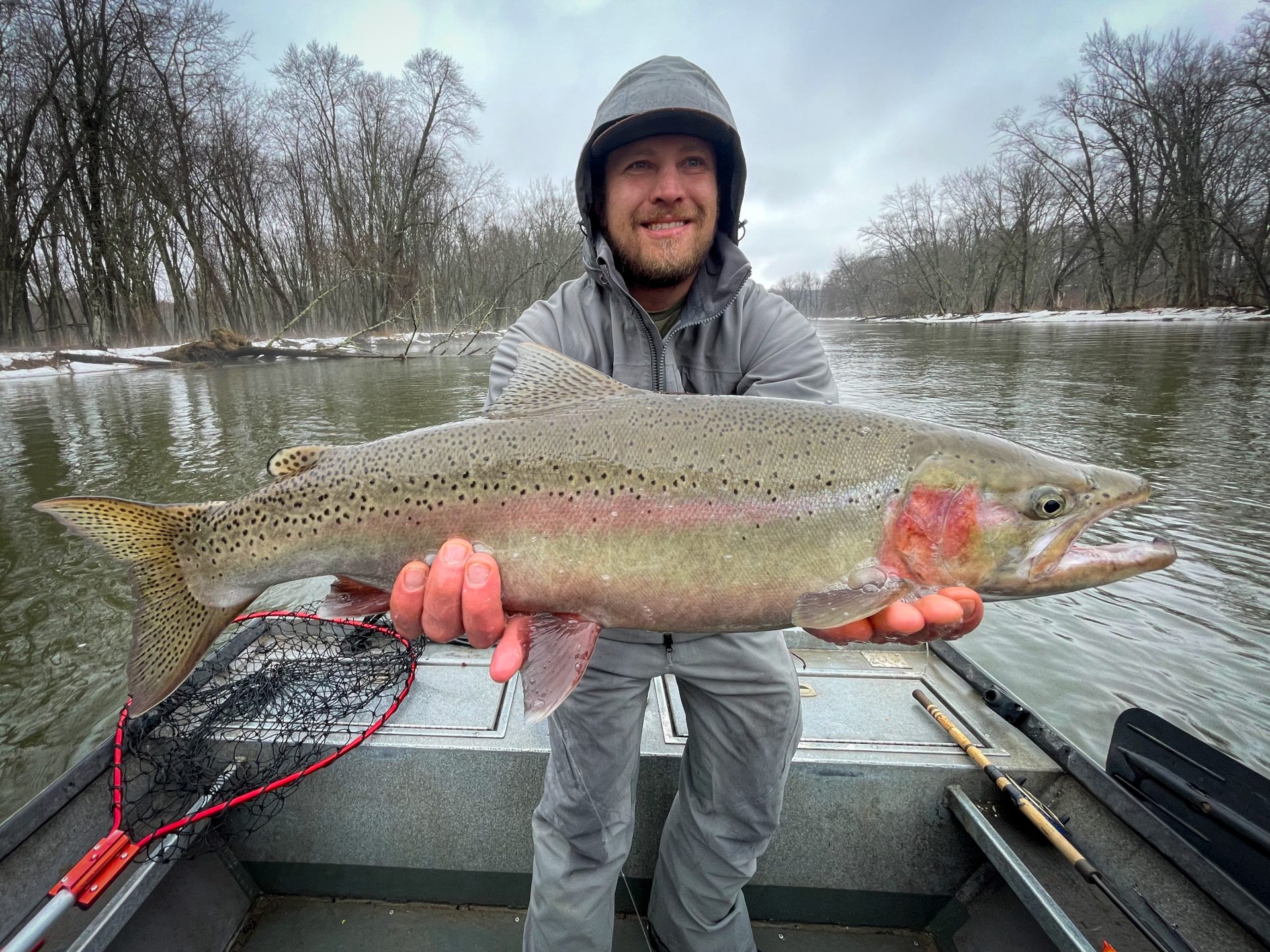 Manistee River Steelhead Report