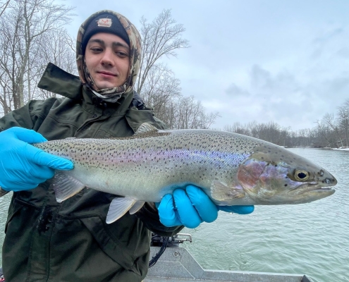 Manistee River Steelhead Report