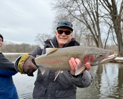 Manistee River Steelhead Report