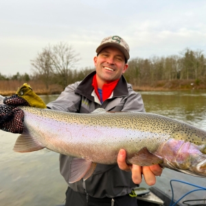 Manistee River Steelhead Report