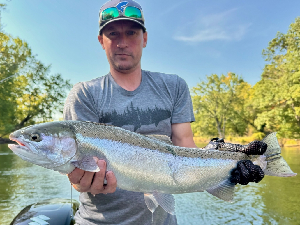 Manistee River Steelhead Report