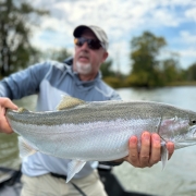Manistee River Steelhead Report