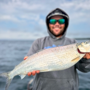 Northern Michigan Smallmouth Bass