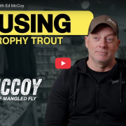 Mousing for Brown Trout