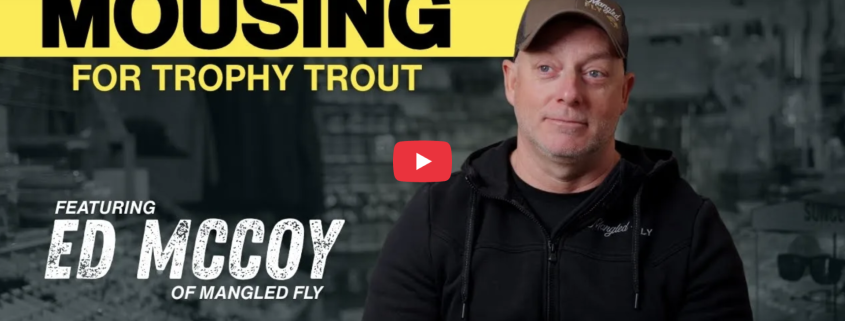 Mousing for Brown Trout
