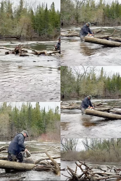 Upper Manistee River
