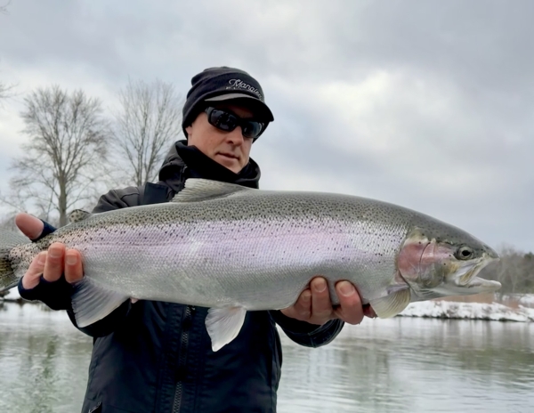 Manistee River Steelhead Report