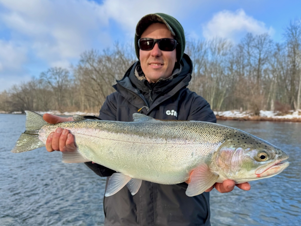 Manistee River Steelhead Report