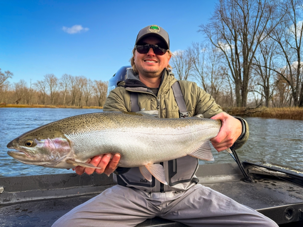 Manistee River Steelhead Report