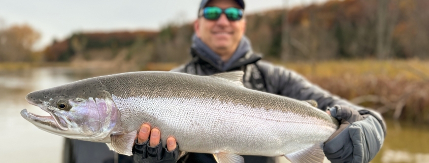 Manistee River Steelhead Report