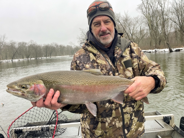 Manistee River Steelhead Report