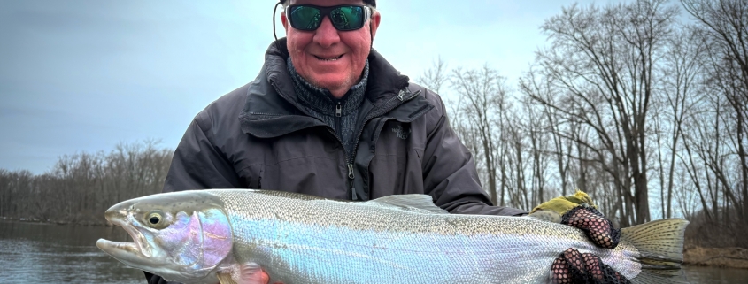 Manistee River Steelhead Report