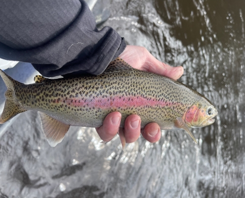 Pere Marquette Spring Fishing