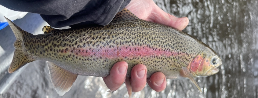 Pere Marquette Spring Fishing