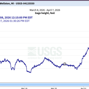 Manistee River Steelhead Report