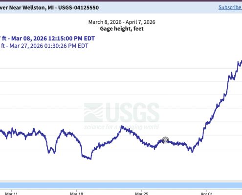 Manistee River Steelhead Report