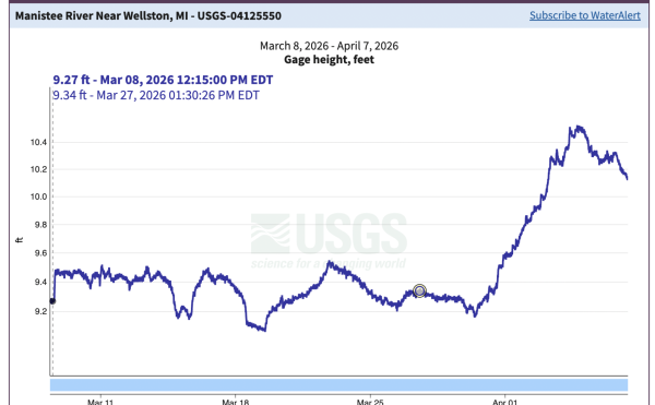 Manistee River Steelhead Report